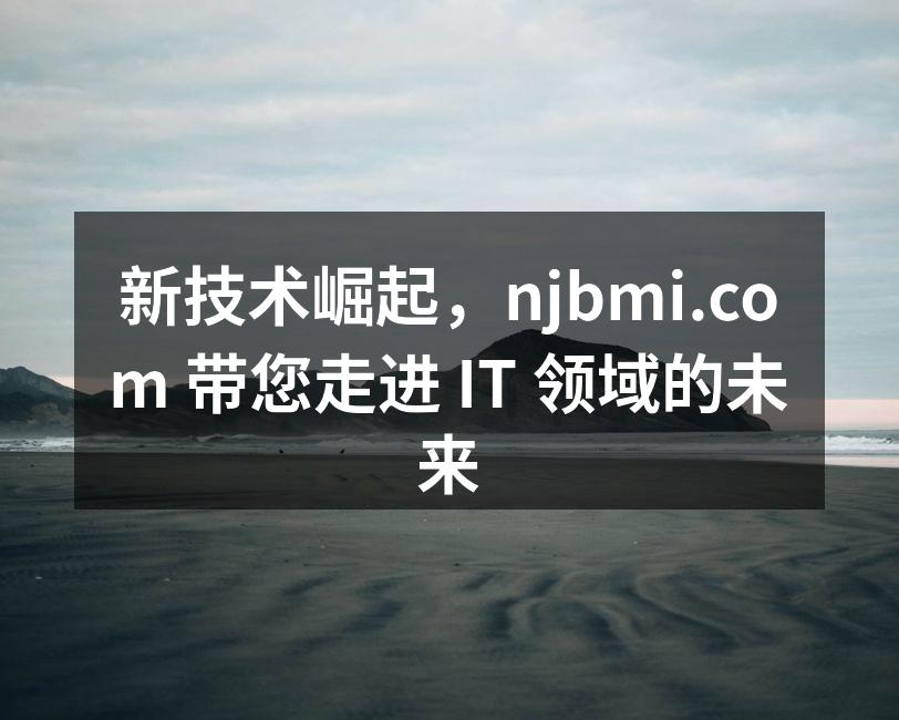 新技术崛起,njbmi.com 带您走进